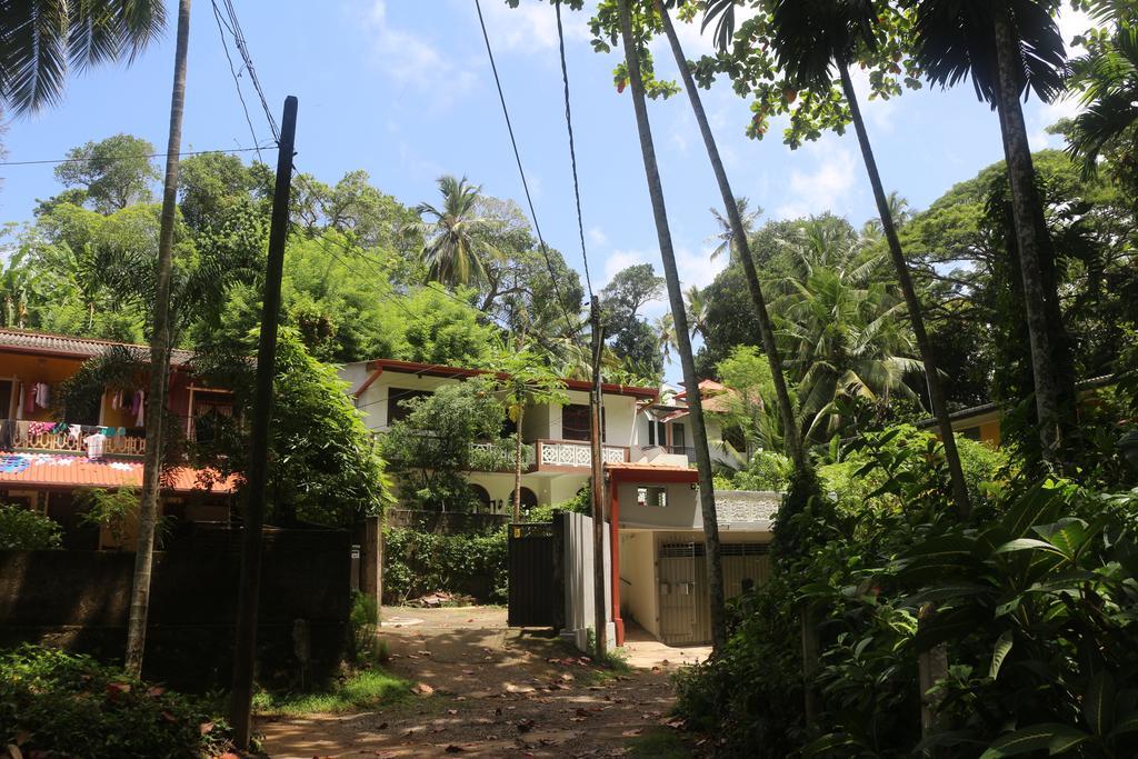 Jungle Guest House Galle Zewnętrze zdjęcie